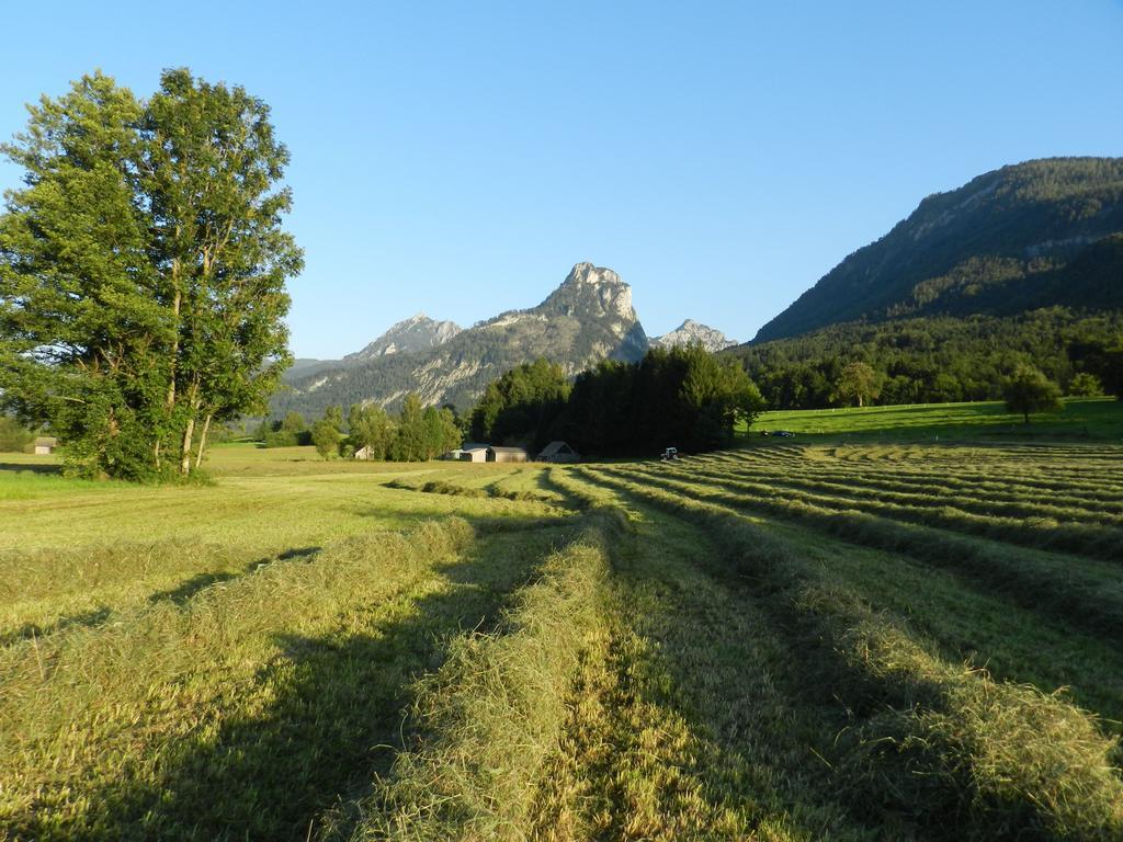 Gasthof Wiesenhof ชตรอเบิล ภายนอก รูปภาพ